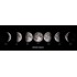 Moon Phase